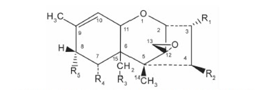 呕吐毒素分子式 呕吐毒素分子式