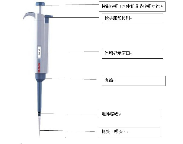 移液枪结构