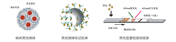 上海乐虎游戏生物花生和花生油中黄曲霉毒素B1快速定量检测方案--8min准确定量
