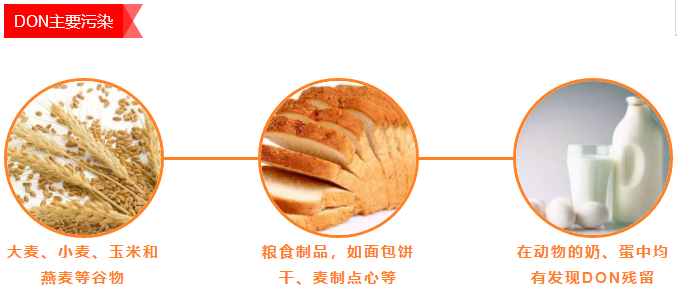 上海乐虎游戏——DON主要污染