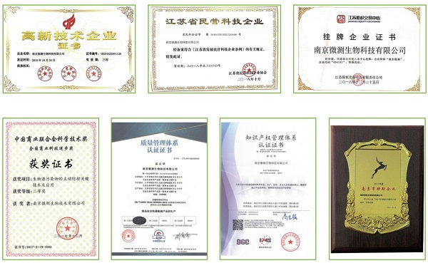 上海乐虎游戏荣誉资质